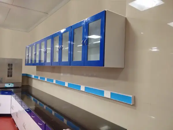 Wall-Mounted Lab Cabinet